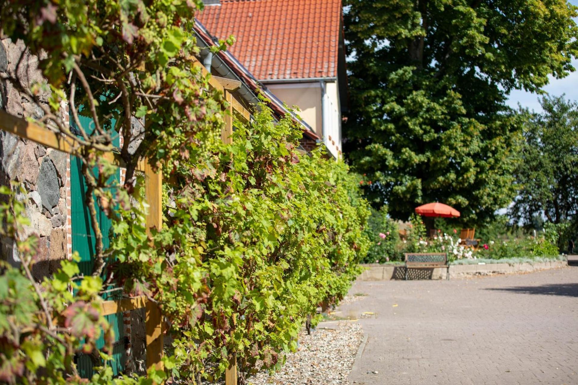 Landurlaub Auf Dem Mellenhof Daire Funkenhagen Dış mekan fotoğraf