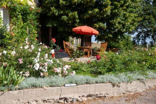 Landurlaub Auf Dem Mellenhof Daire Funkenhagen Dış mekan fotoğraf